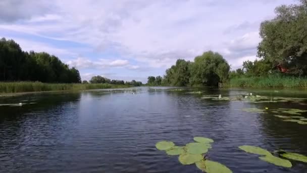 Aero video-opname. Zomer in de middag, het rivierlandschap met waterlelies. zijn de bomen, riet rond daar. mooie blauwe hemel met wolken. — Stockvideo