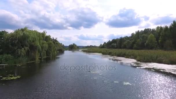 Аерофотозйомка. Влітку, вдень, річковий пейзаж. навколо є дерева, очерет. красиве блакитне небо з хмарами — стокове відео