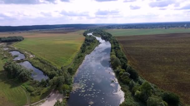 Аерофотозйомка. Влітку, вдень, річковий пейзаж. навколо є дерева, поля і луки. красиве блакитне небо з хмарами — стокове відео