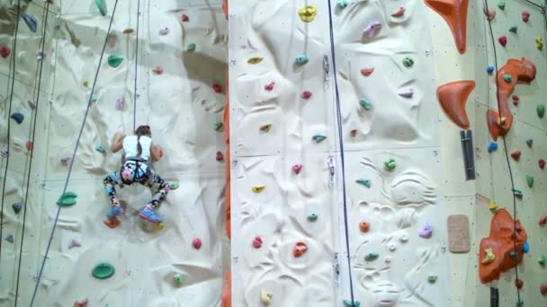 Child climbs on a special wall for mountaineering. the girl of seven years in safety equipment is engaged in rock climbing on a special training vertical wall, — Stock Video