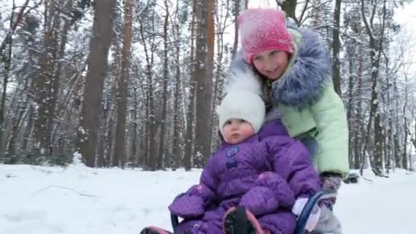 Na floresta de inverno coberta de neve, duas meninas, um ano e sete anos de idade, se divertem andando de trenó. a irmã mais velha rola a irmã mais nova no trenó . — Vídeo de Stock