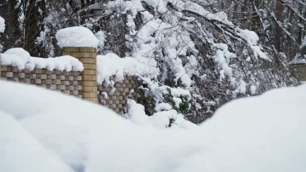 Un hermoso paisaje de invierno, una vista de una casa de campo cubierta de nieve. La cerca y los árboles están todos en la nieve . — Vídeo de stock