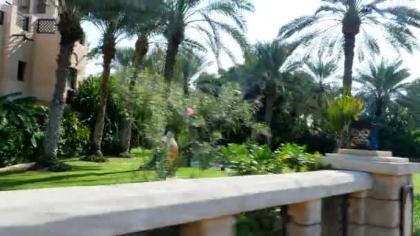 Dubai, Verenigde Arabische Emiraten, Verenigde Arabische Emiraten - 20 November 2017: Hotel Jumeirah Al Qasr Madinat, wandeling rond het hotel op een bus-bug — Stockvideo