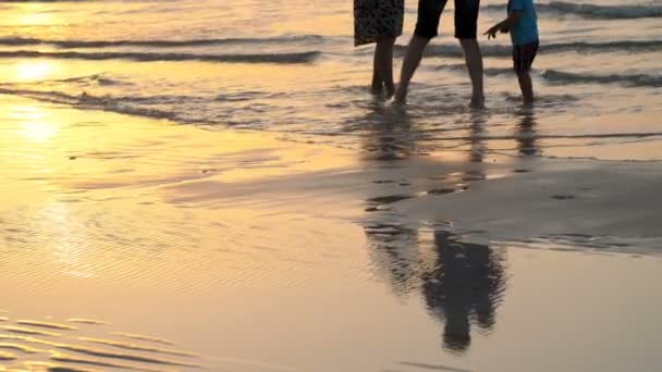 Ao pôr-do-sol, aos raios do sol, um casal com uma criança pequena passeia pela praia, ao longo da linha de surf. suas silhuetas são refletidas na água , — Vídeo de Stock