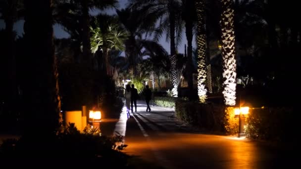 DUBAI, EMIRATOS ÁRABES UNIDOS, Emiratos Árabes Unidos - 20 DE NOVIEMBRE DE 2017: Hotel Jumeirah Al Qasr Madinat, por la noche, a la luz de linternas, y faros de taxi-insectos que pasan, la gente camina — Vídeo de stock