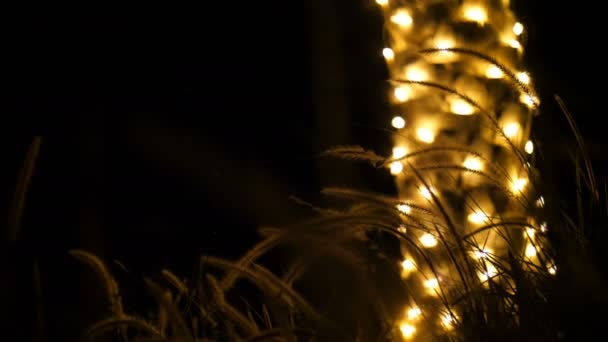 Primer plano. en la oscuridad, sobre el fondo de un tronco de una palmera decorado con iluminación, espiguillas y hierba balanceándose en el viento, en los rayos de luz . — Vídeo de stock