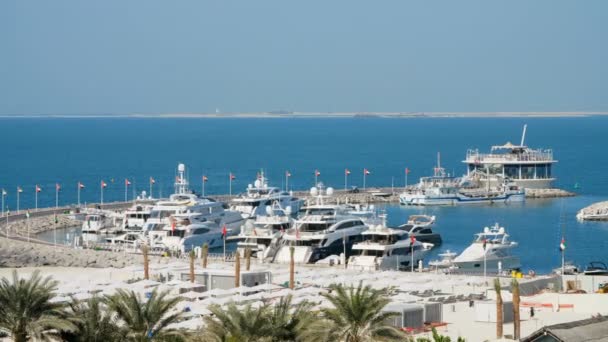 DUBAI, UNITED ARAB EMIRATES, UAE - NOVEMBER 20, 2017: marina near the Hotel Burj al Arab, there are many beautiful moored yachts — Stock Video