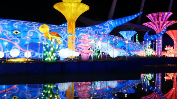 DUBAI, EMIRATI ARABI UNITI, Emirati Arabi Uniti - 20 NOVEMBRE 2017: Dubai Garden Glow park illuminato di notte . — Video Stock