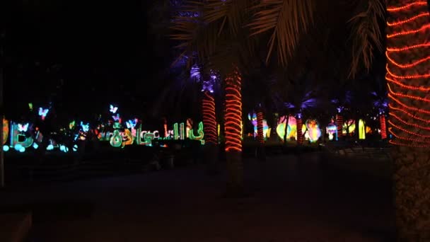 DUBAI, EMIRATOS ÁRABES UNIDOS, Emiratos Árabes Unidos - 20 de noviembre de 2017: Dubai Garden Glow park iluminado por la noche . — Vídeos de Stock