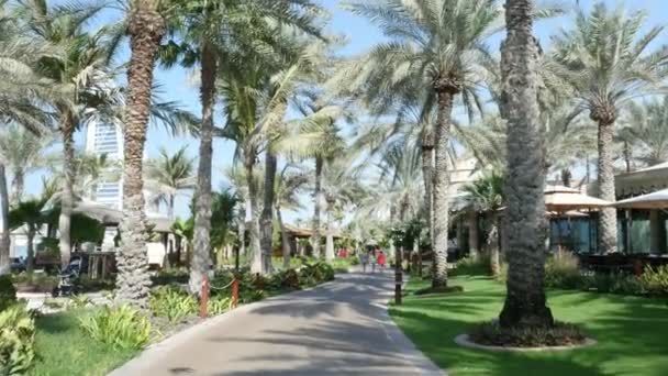 DUBAI, UNITED ARAB EMIRATES, Emirados Árabes Unidos - NOVEMBRO 20, 2017: Hotel Jumeirah Al Qasr Madinat, caminhe ao longo da zona de praia, através da teritidade do hotel — Vídeo de Stock