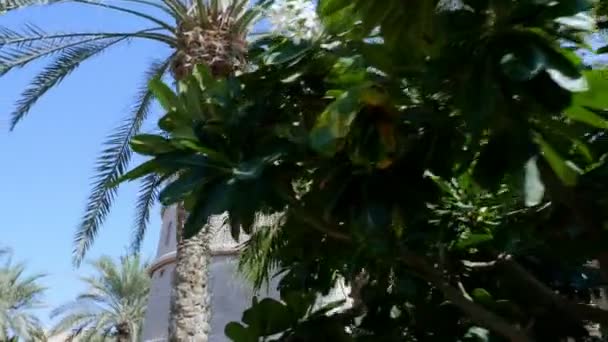 Dubai, Verenigde Arabische Emiraten, Verenigde Arabische Emiraten - 20 November 2017: Hotel Jumeirah Al Qasr Madinat, lopen door het grondgebied van het hotel, prachtig uitzicht op het platform, tuinen — Stockvideo