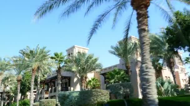 DUBAI, ÉMIRATS ARABES UNIS, Émirats arabes unis - 20 NOVEMBRE 2017 : Hotel Jumeirah Al Qasr Madinat, promenade matinale autour de l'hôtel avec une punaise de bus, tous les verts sont au soleil — Video