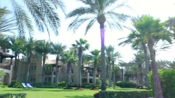 Dubai, Förenade Arabemiraten, Uae - 20 November 2017: Hotel Jumeirah Al Qasr Madinat, promenad runt hotellet, vacker trädgård, alla gröna är i solskenet — Stockvideo