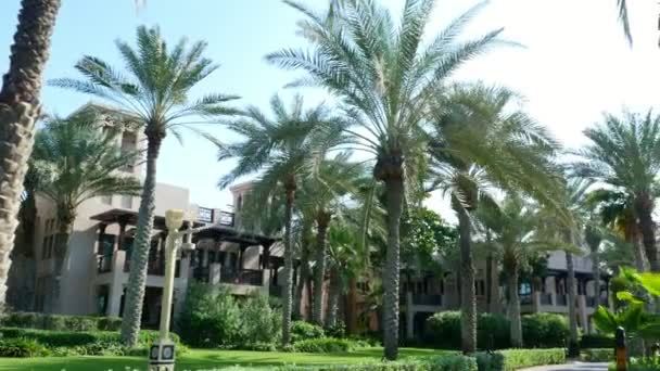 Dubai, Verenigde Arabische Emiraten, Verenigde Arabische Emiraten - 20 November 2017: Hotel Jumeirah Al Qasr Madinat, wandeling rond het hotel, mooie dat Tuin, alle van de Groenen zijn in de zon — Stockvideo