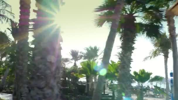 DUBAI, EMIRATI ARABI UNITI, Emirati Arabi Uniti - 20 NOVEMBRE 2017: Hotel Jumeirah Al Qasr Madinat, passeggiata lungo la zona della spiaggia, bellissimo giardino, tutti i verdi sono al sole — Video Stock