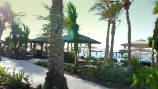 DUBAI, EMIRATI ARABI UNITI, Emirati Arabi Uniti - 20 NOVEMBRE 2017: Hotel Jumeirah Al Qasr Madinat, passeggiata lungo la zona della spiaggia, bellissimo giardino, tutti i verdi sono al sole — Video Stock