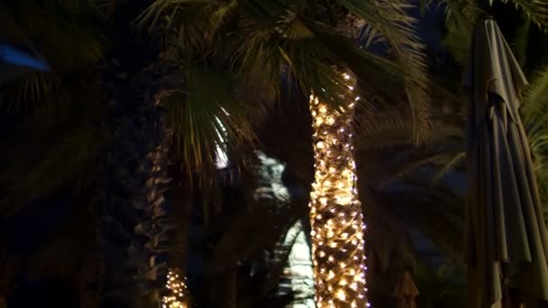 DUBAI, UNITED ARAB EMIRATES, UAE - NOVEMBER 20, 2017: Hotel Jumeirah Al Qasr, near Burj al Arab. in the dark, a trunk of a palm tree decorated with illumination, — Stock Video