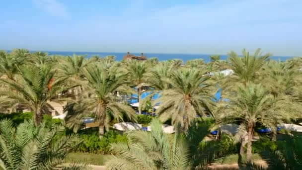 阿联酋迪拜, 阿拉伯联合酋长国-2017年11月20日: 豪华5星级酒店的全景朱美, 靠近迪拜塔。度假村与自己的人工运河, 花园 — 图库视频影像