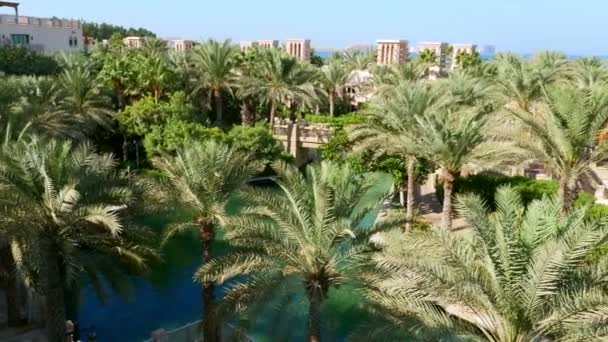 DUBAI, UNITED ARAB EMIRATES, Emirados Árabes Unidos - NOVEMBRO 20, 2017: Vista de luxo 5 estrelas Hotel JUMEIRAH Al Qasr Madinat, perto de Burj al Arab. resort com canais artificiais próprios, jardins — Vídeo de Stock