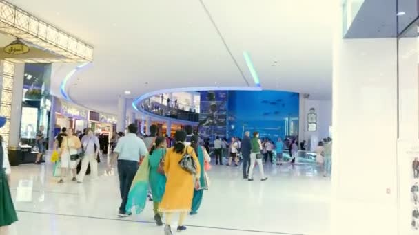 DUBAI, EMIRATOS ÁRABES UNIDOS, Emiratos Árabes Unidos - 20 de noviembre de 2017: Acuario en Dubai Mall - el centro comercial más grande del mundo. Gente disfrutando de la hermosa vista, caminar, ir de compras — Vídeo de stock