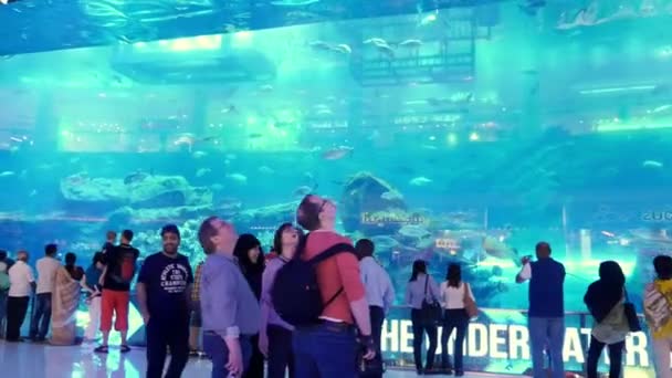 DUBAI, EMIRATOS ÁRABES UNIDOS, Emiratos Árabes Unidos - 20 de noviembre de 2017: Acuario en Dubai Mall - el centro comercial más grande del mundo. Gente disfrutando de la hermosa vista, caminar, ir de compras — Vídeo de stock