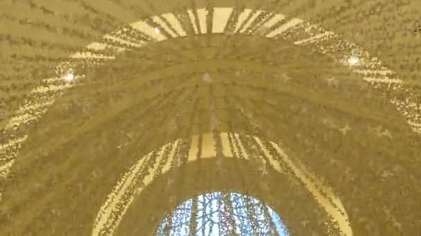 ドバイ、アラブ首長国連邦、アラブ首長国連邦 - 2017 年 11 月 20 日: ドバイ ・ モール。美しい内装の天井の何千もの小さな花で飾られたショッピング センター内 — ストック動画