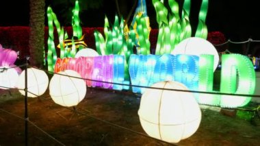 Dubai, Birleşik Arap Emirlikleri, BAE - 20 Kasım 2017: geceleri aydınlatılan Dubai Bahçe kızdırma park.