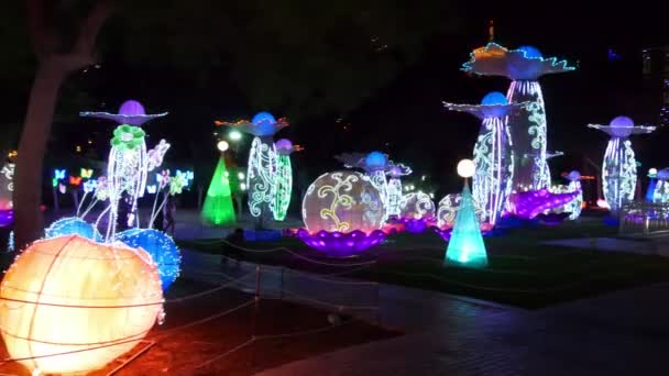 DUBAI, EMIRATOS ÁRABES UNIDOS, Emiratos Árabes Unidos - 20 de noviembre de 2017: Dubai Garden Glow park iluminado por la noche . — Vídeos de Stock