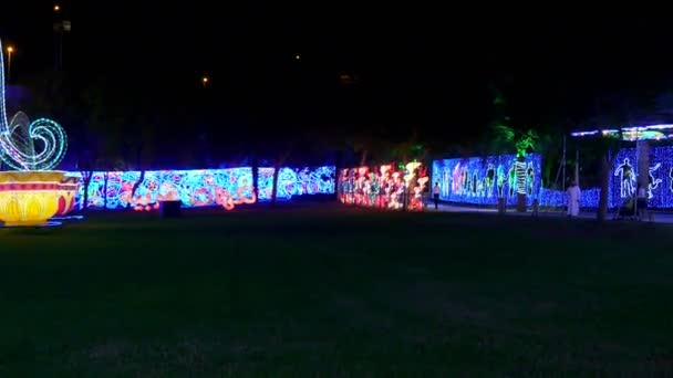 Dubai, Egyesült Arab Emírségek, Uae - November 20, 2017: Dubai kert fény park éjszaka. — Stock videók