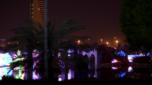 Ντουμπάι, Ηνωμένα Αραβικά Εμιράτα, Ηνωμένα Αραβικά Εμιράτα - 20 Νοεμβρίου 2017: Ντουμπάι λάμψη κήπος πάρκο φωτίζεται τη νύχτα. — Αρχείο Βίντεο