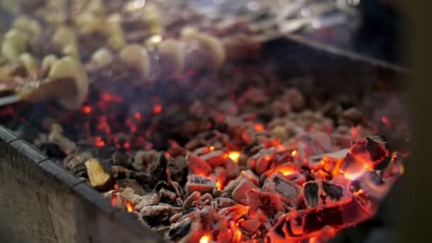 Een shish kebab van varkensvlees, brochettes, bak op rode hete kolen — Stockvideo
