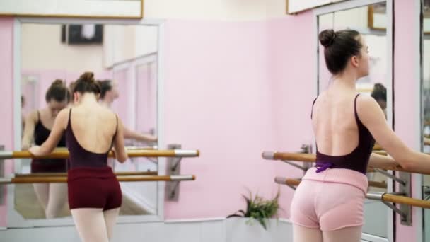 在舞厅里, 年轻的芭蕾舞在黑色的 leotards 表演盛大的 battement 回在巴里, 优雅, 站在巴里在镜子上芭蕾课. — 图库视频影像