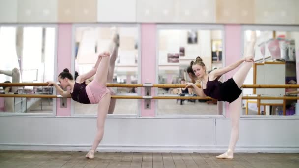 In sala da ballo, giovani ballerine in body neri si allungano, in piedi vicino a sbarre a specchio in classe di balletto . — Video Stock