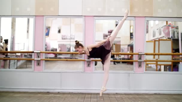 I Dans hall, utför unga ballerina i lila trikåer elegant en viss balett övning, arabesque i sluttningen, stående nära barre på spegel i balett klass. — Stockvideo