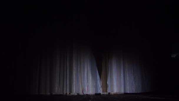 En el escenario de la antigua sala de teatro hay una bailarina bailando sombra en tutú de ballet, en rayos de luz,. ella está bailando elegantemente cierto movimiento de ballet, Lago de los Cisnes — Vídeos de Stock