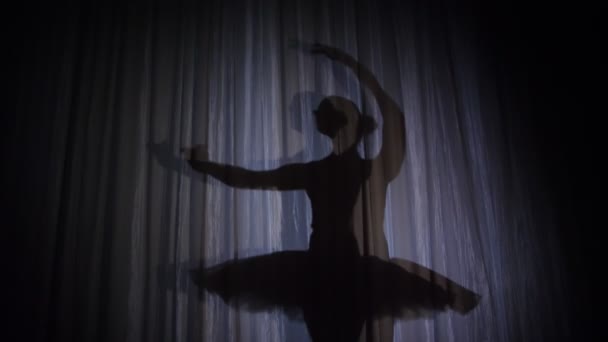 En el escenario de la antigua sala de teatro hay una bailarina bailando sombra en tutú de ballet, en rayos de luz,. ella está bailando elegantemente cierto movimiento de ballet, Lago de los Cisnes — Vídeos de Stock