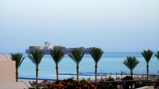 Mer Rouge, un grand cargo navigue sur la mer, non loin de la plage avec des palmiers — Video