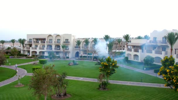SHARM EL SHEIKH, EGIPTO - 5 DE ABRIL DE 2018: Hotel Jaz Belvedere. en el territorio del hotel, el personal envenena a los mosquitos con una máquina de humo especial. De los arbustos suben nubes de humo . — Vídeo de stock