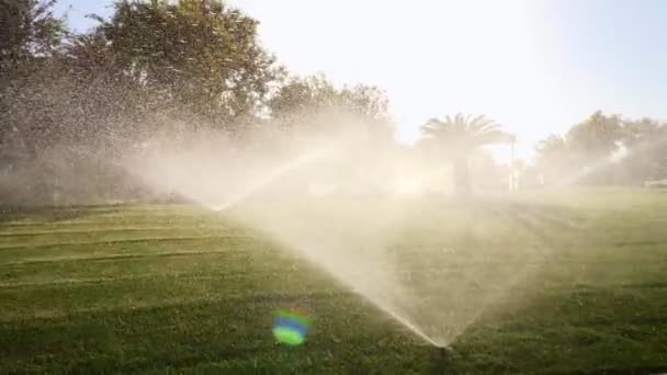 Schießen gegen die Sonne, Gießen Wasser von grünem Rasen. Wasserspritzer leuchten im Sonnenlicht — Stockvideo