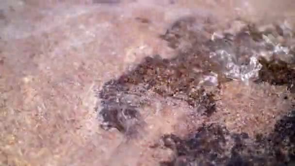 Close-up, sea surf, clear water covers dead corals and sand. Soft sea wave on sandy beach. Sea beach — Stock Video