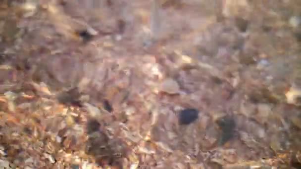 Close-up, under the clear water of the sea, off the coast, on the beach, you can see the sand and many small shells and pebbles — Stockvideo