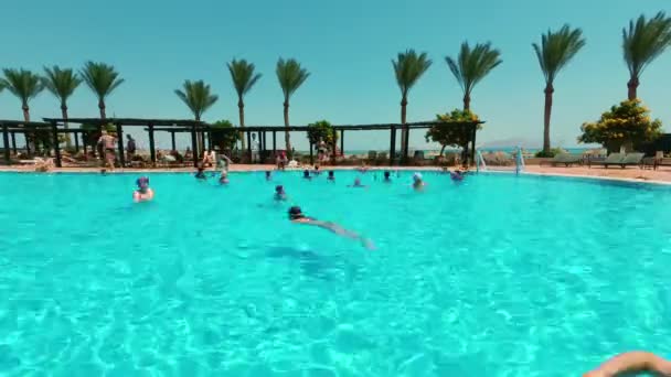 Temporadas, descansar junto a la piscina, muchas personas se bañan, nadar, participar en aeróbic acuático, en el contexto de las palmeras — Vídeo de stock
