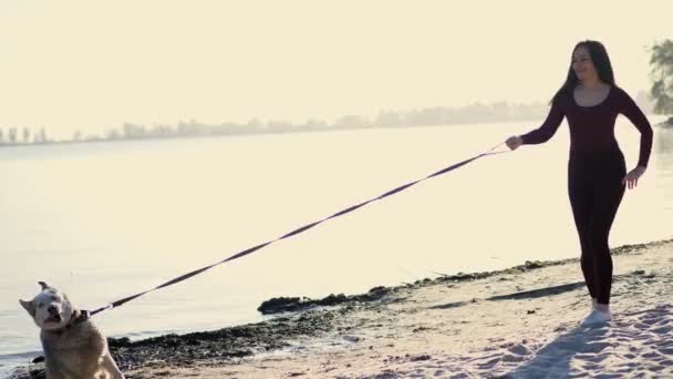 On the river bank, on the beach. at Sunrise , a beautiful woman in a tight suit walks with a dog of Husk breed, keeps the dog on a leash, plays with a dog, has fun. summer — Stock Video