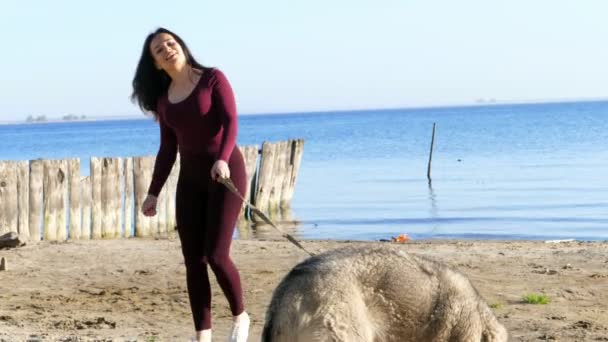Nehir kıyısında plaj. Sunrise, dar elbiseli güzel bir kadın kabuğu doğurmak köpek ile yürüyor, köpek tasması duruyor, bir köpekle oynar, eğlenceli vardır. Yaz — Stok video