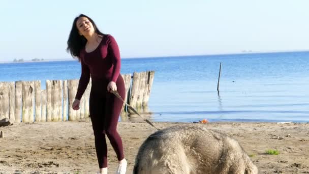 Sur la rive, sur la plage. au lever du soleil, une belle femme en costume serré se promène avec un chien de race Husk, garde le chien en laisse, joue avec un chien, s'amuse. été — Video