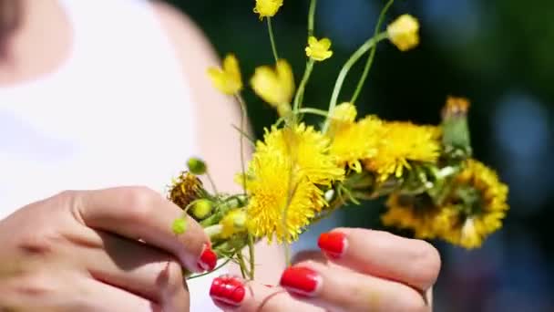 Summer, close up, Female hands with bright red manicure. woman weaves a wreath of yellow dandelions, — Stock Video