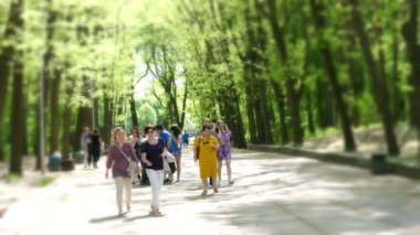 Cherkasa, Ukrayna-Mayıs 1, 2018: Yaz günü genel çam Şehir Parkı, Merkez Park orman manzara ağaçlar arka planda parlıyor parlak güneş ışığı ile yürüyen insan kalabalığı. aileler