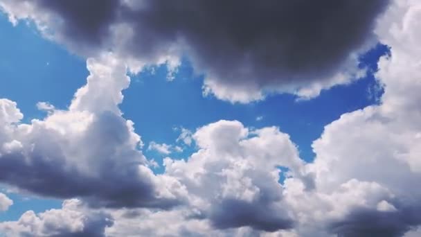 Timelapse, bir fırtına önce gökyüzü. gök gürültüsü bulutlar, karanlık gökyüzünde toplama çalışıyor. — Stok video