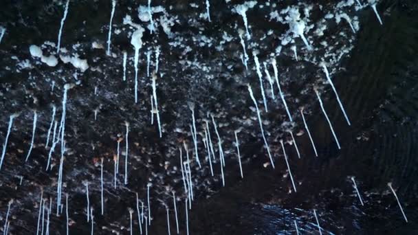 Hängende Stalaktiten in einer Salzbergwerkshöhle. Salzbergwerk Turda. Rumänien — Stockvideo