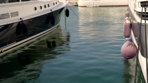 Close-up. yachts are anchored in a marina. fenders hang on their sides. — ストック動画